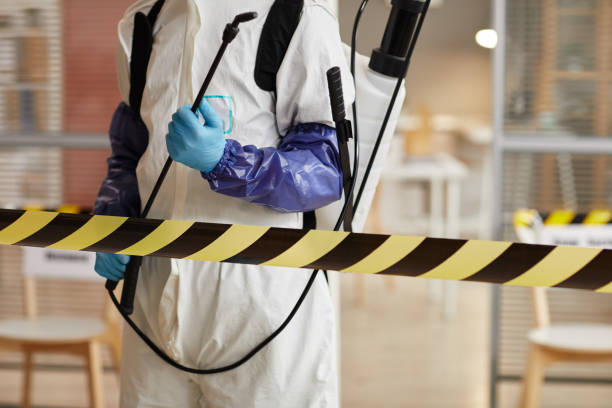 Professional Hoarding Cleanup technician working in Bowie, TX